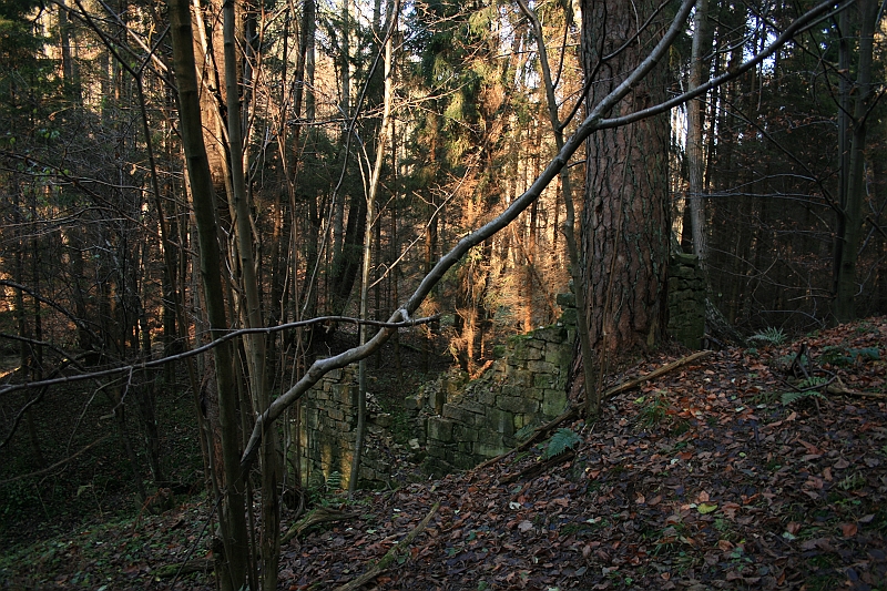 Rostoczek 11.2008 420